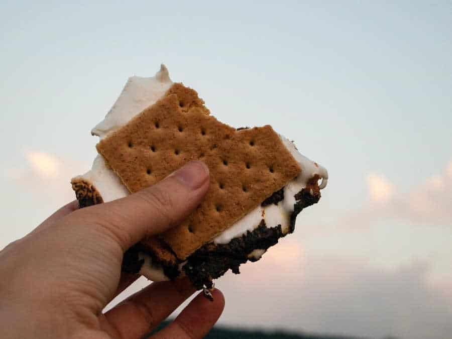 Person holding an ice cream sandwich.