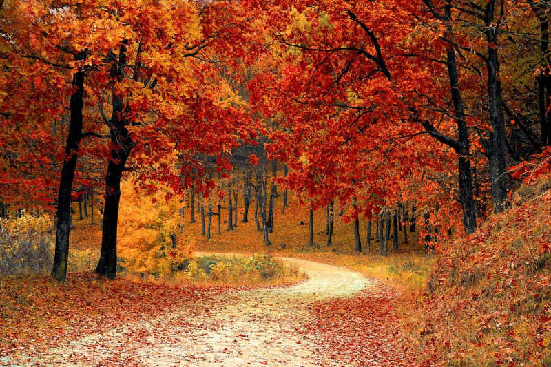 Fall foliage in your RV travels
